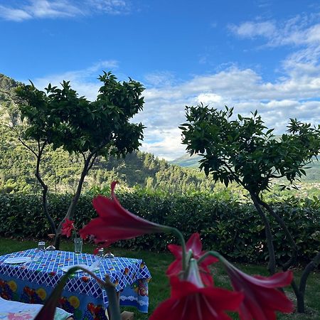 Hotel Villa Edis Berat Kültér fotó